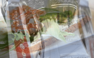 FA Cup with club hospitality